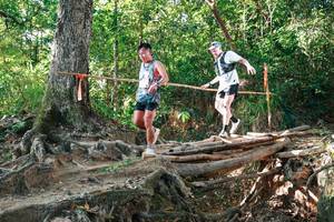 BIB: 
                            <button type="button" onclick="openModal(27552097)" class="btn btn-primary btn-sm float-right btn-popup" data-toggle="modal" data-target=".modal-high-quality">
                        <i class="fas fa-shopping-cart"></i> Add to Cart
                    </button>
                                            <button type="button" onclick="isThisMe(27552097, true)" class="btn btn-success btn-sm float-right btn-popup btn-isme hidden" data-toggle="tooltip" data-placement="bottom" title="นี่คือรูปของคุณใช่ไหม คลิกที่นี่เพื่อเอาเข้าอัลบั้ม">
                        <i class="fas fa-plus"></i> Add to album
                    </button>
                    <button type="button" onclick="isThisMe(27552097, false)" class="btn btn-warning btn-sm float-right btn-popup btn-isnotme hidden">
                        <i class="fas fa-ban"></i> Remove from album
                    </button>